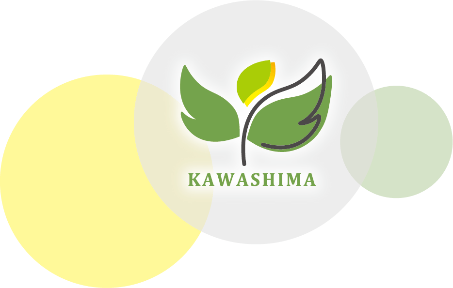 KAWASHIMAロゴ